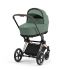 CYBEX Priam Set + Platinum Footmuff